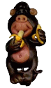 monkey