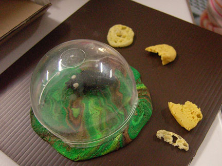 Ant Farm Project