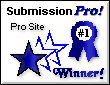 Submission-Pro Award